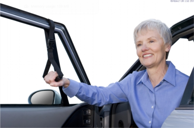 Car Caddie Strap - Image 2